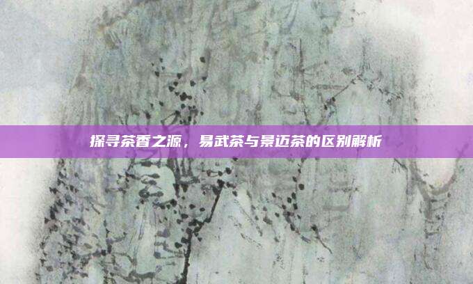探寻茶香之源，易武茶与景迈茶的区别解析