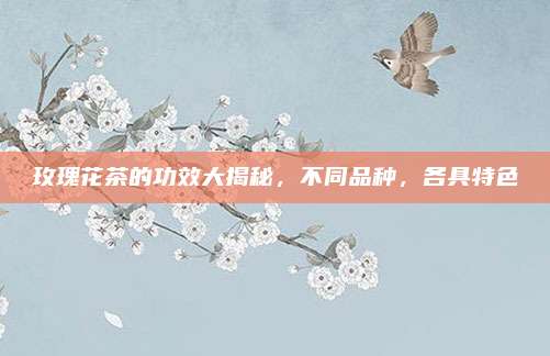 玫瑰花茶的功效大揭秘,不同品种,各具特色