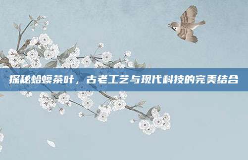 探秘蛤蟆茶叶,古老工艺与现代科技的完美结合