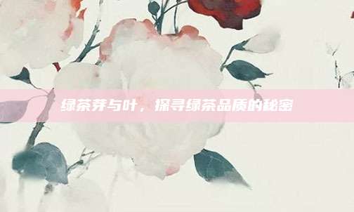 绿茶芽与叶,探寻绿茶品质的秘密
