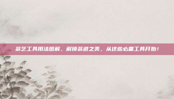 茶艺工具用法图解,解锁茶道之美,从这些必备工具开始!