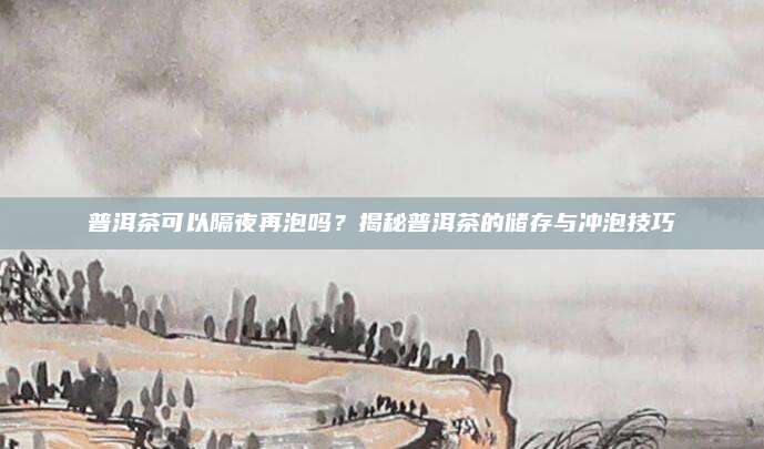 普洱茶可以隔夜再泡吗?揭秘普洱茶的储存与冲泡技巧