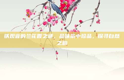 铁观音的兰花香之谜,品味茶中珍品,探寻自然之韵