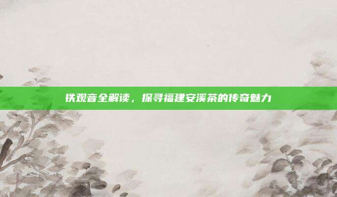 铁观音全解读,探寻福建安溪茶的传奇魅力