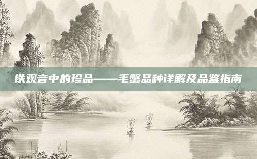 铁观音中的珍品——毛蟹品种详解及品鉴指南