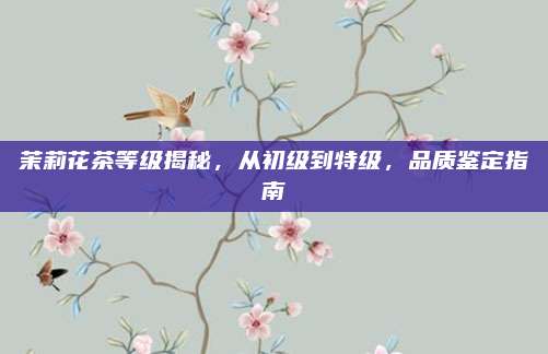 茉莉花茶等级揭秘,从初级到特级,品质鉴定指南
