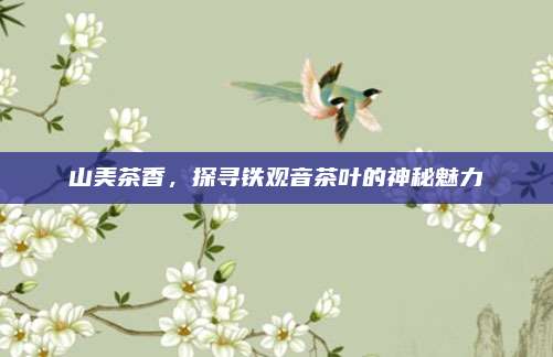 山美茶香,探寻铁观音茶叶的神秘魅力