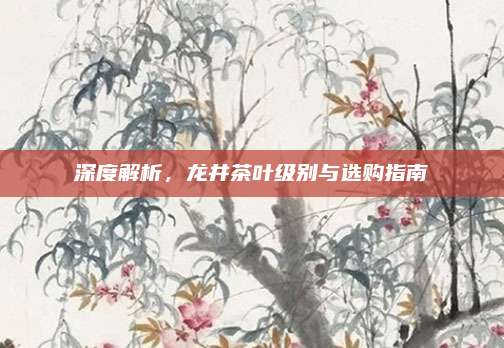 深度解析,龙井茶叶级别与选购指南