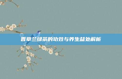 香草兰绿茶的功效与养生益处解析