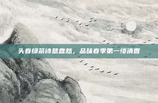 头春绿茶诗意盎然,品味春季第一缕清香