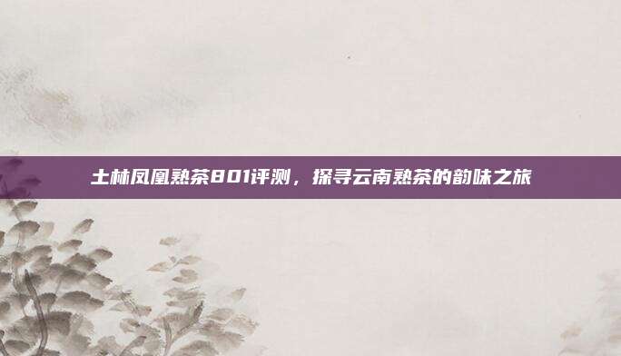 土林凤凰熟茶801评测，探寻云南熟茶的韵味之旅