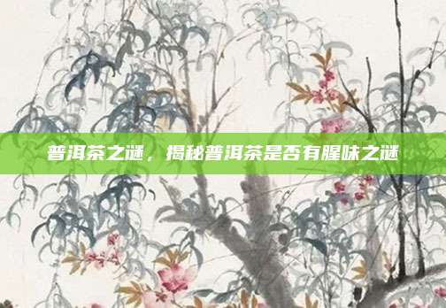 普洱茶之谜，揭秘普洱茶是否有腥味之谜