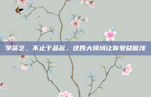 学茶艺,不止于品茗,这四大领域让你受益匪浅