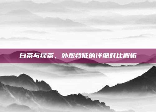 白茶与绿茶,外观特征的详细对比解析