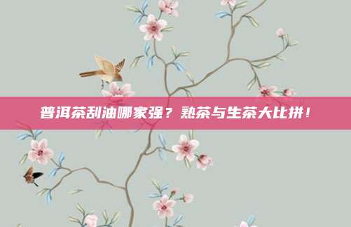 普洱茶刮油哪家强？熟茶与生茶大比拼！