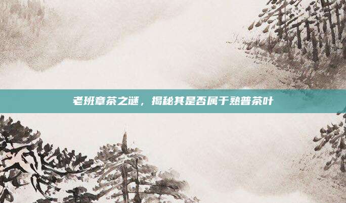 老班章茶之谜,揭秘其是否属于熟普茶叶