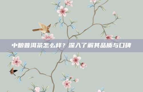 中粮普洱茶怎么样?深入了解其品质与口碑