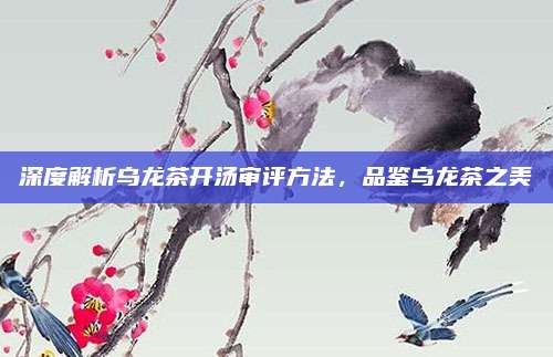 深度解析乌龙茶开汤审评方法,品鉴乌龙茶之美