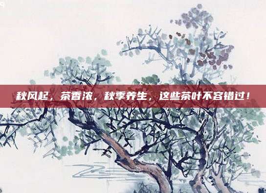 秋风起,茶香浓,秋季养生,这些茶叶不容错过!