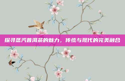 探寻蒸汽普洱茶的魅力，传统与现代的完美融合