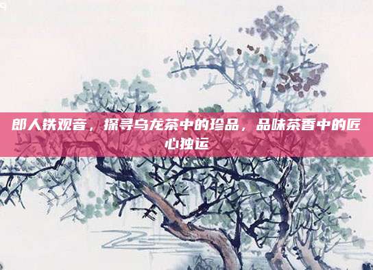郎人铁观音,探寻乌龙茶中的珍品,品味茶香中的匠心独运