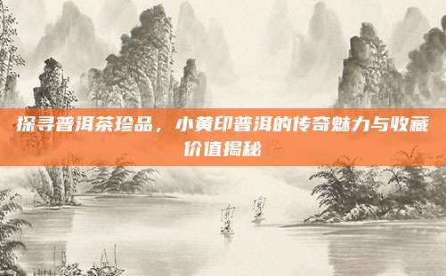 探寻普洱茶珍品，小黄印普洱的传奇魅力与收藏价值揭秘