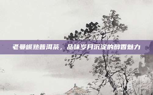 老曼峨熟普洱茶,品味岁月沉淀的醇香魅力