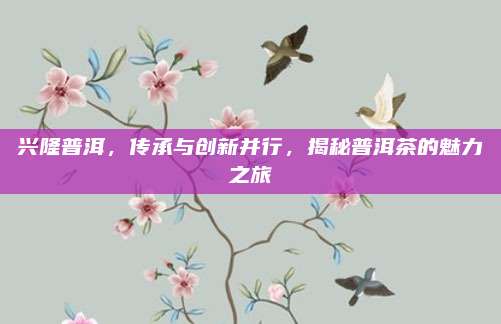 兴隆普洱，传承与创新并行，揭秘普洱茶的魅力之旅