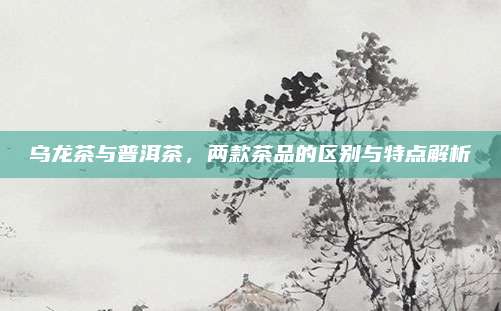 乌龙茶与普洱茶，两款茶品的区别与特点解析