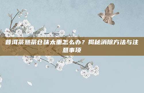 普洱茶熟茶仓味太重怎么办?揭秘消除方法与注意事项