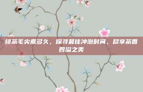 绿茶毛尖煮多久,探寻最佳冲泡时间,尽享茶香四溢之美