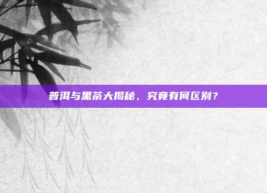 普洱与黑茶大揭秘，究竟有何区别？