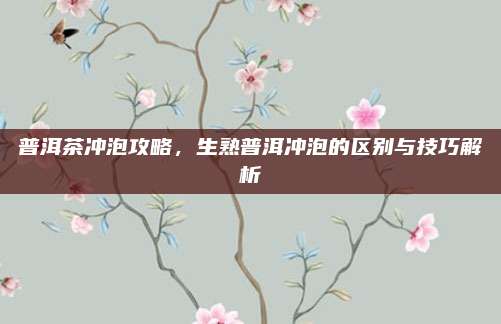 普洱茶冲泡攻略，生熟普洱冲泡的区别与技巧解析
