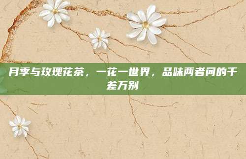 月季与玫瑰花茶，一花一世界，品味两者间的千差万别