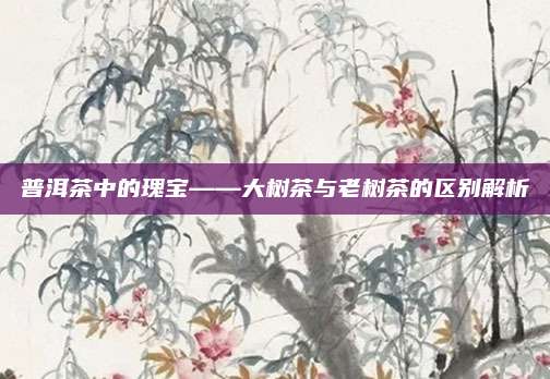 普洱茶中的瑰宝——大树茶与老树茶的区别解析