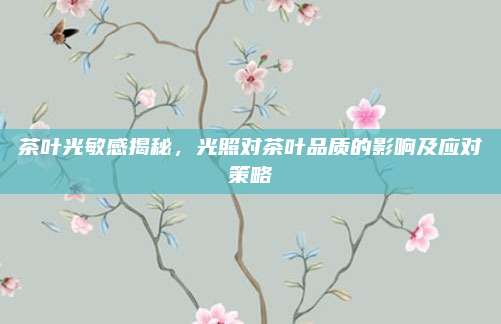 茶叶光敏感揭秘，光照对茶叶品质的影响及应对策略