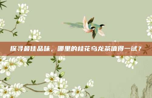 探寻最佳品味，哪里的桂花乌龙茶值得一试？