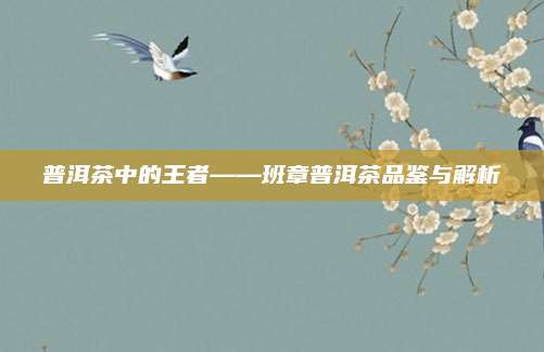普洱茶中的王者——班章普洱茶品鉴与解析