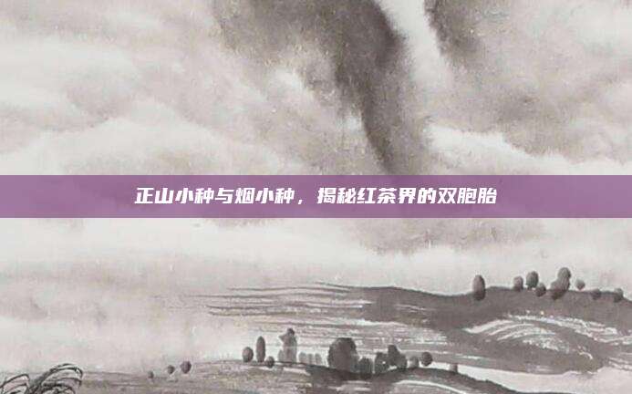 正山小种与烟小种，揭秘红茶界的双胞胎