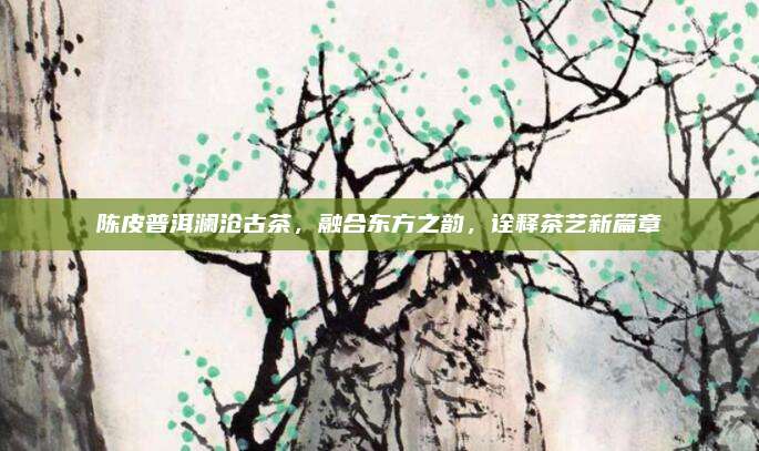 陈皮普洱澜沧古茶，融合东方之韵，诠释茶艺新篇章