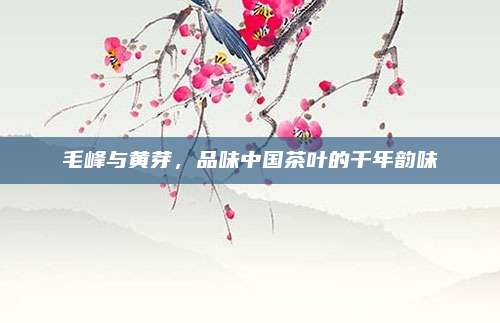 毛峰与黄芽，品味中国茶叶的千年韵味