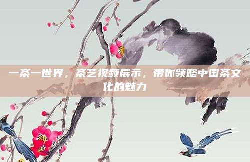 一茶一世界，茶艺视频展示，带你领略中国茶文化的魅力