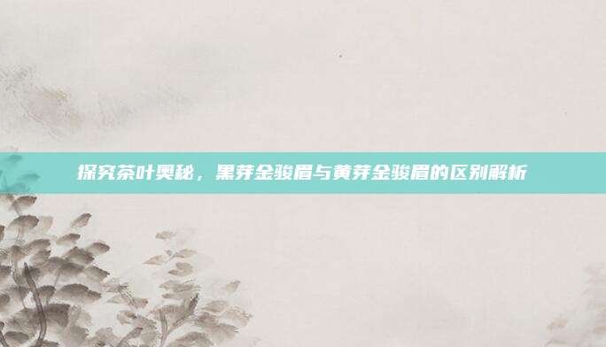 探究茶叶奥秘，黑芽金骏眉与黄芽金骏眉的区别解析