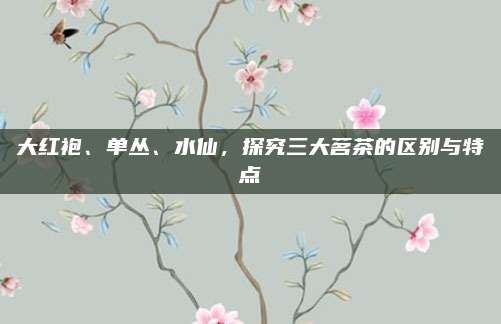 大红袍、单丛、水仙，探究三大茗茶的区别与特点