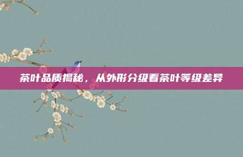 茶叶品质揭秘，从外形分级看茶叶等级差异