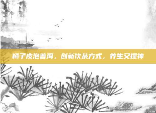 橘子皮泡普洱，创新饮茶方式，养生又提神