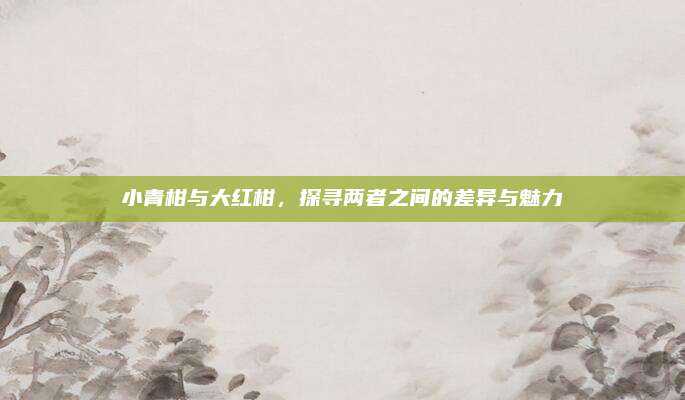 小青柑与大红柑，探寻两者之间的差异与魅力