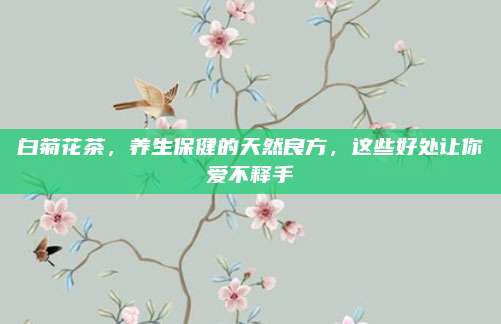 白菊花茶，养生保健的天然良方，这些好处让你爱不释手