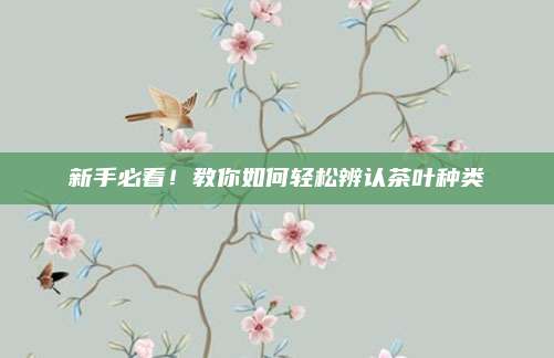 新手必看!教你如何轻松辨认茶叶种类
