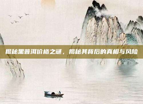 揭秘黑普洱价格之谜,揭秘其背后的真相与风险